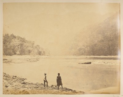भीरकोटी में तीस्ता। दार्जिलिंग के दृश्य। 1870 का दशक द्वारा अंग्रेजी फोटोग्राफर