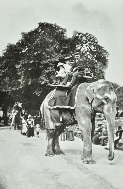 जूलॉजिकल गार्डन, रीजेंट्स पार्क: हाथी की सवारी, लंदन, c.1895 द्वारा अंग्रेजी फोटोग्राफर