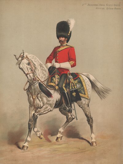 2 Dragoons, Royal Scots Grays, Officer, Review Order द्वारा अंग्रेजी स्कूल