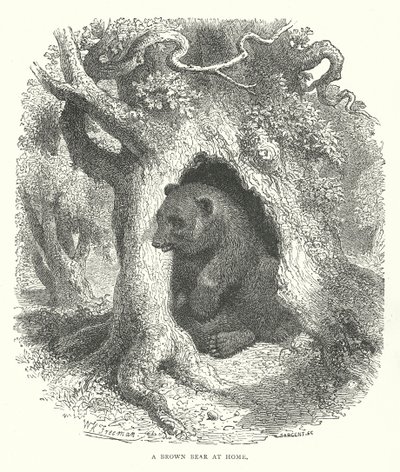  द्वारा अंग्रेजी स्कूल