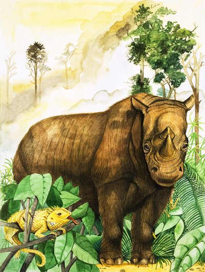  द्वारा अंग्रेजी स्कूल