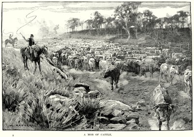  द्वारा अंग्रेजी स्कूल