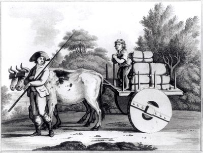 एक पुर्तगाली फार्म, जेम्स मर्फी द्वारा पुर्तगाल राज्य के एक सामान्य दृश्य से, 1797 में प्रकाशित हुआ द्वारा अंग्रेजी स्कूल