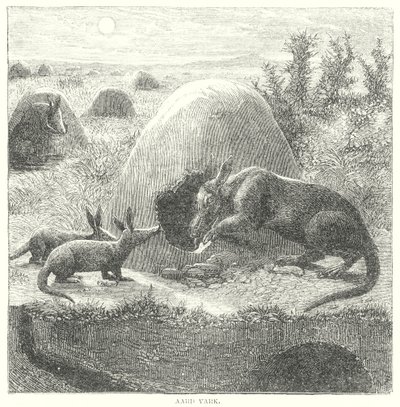  द्वारा अंग्रेजी स्कूल