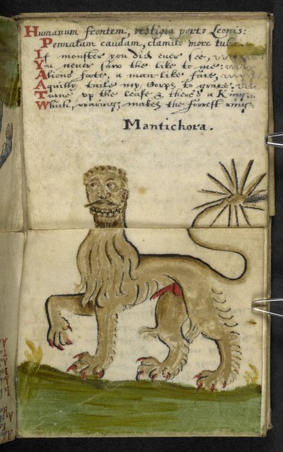 MS 57312 f.11 गेम-बुक (वेलम पर स्याही और रंग) जोड़ें द्वारा अंग्रेजी स्कूल
