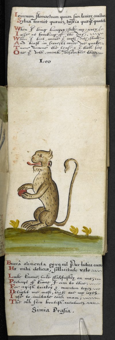 MS 57312 f.12 गेम-बुक (वेलम पर स्याही और रंग) जोड़ें द्वारा अंग्रेजी स्कूल