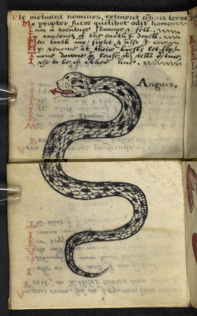 MS 57312 f.4 गेम-बुक (वेलम पर स्याही और रंग) जोड़ें द्वारा अंग्रेजी स्कूल