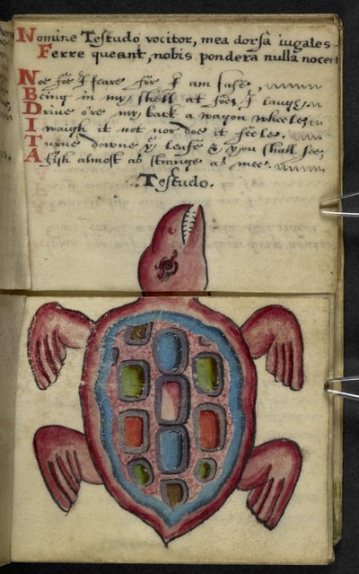 MS 57312 f.5 गेम-बुक (वेलम पर स्याही और रंग) जोड़ें द्वारा अंग्रेजी स्कूल