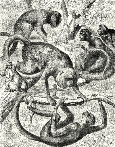  द्वारा अंग्रेजी स्कूल