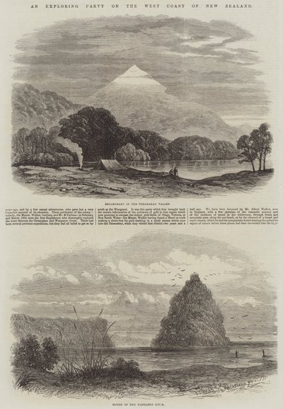 न्यूजीलैंड के पश्चिमी तट पर एक खोज पार्टी (उत्कीर्णन) द्वारा अंग्रेजी स्कूल