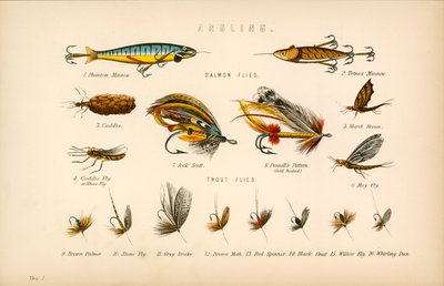 angling द्वारा अंग्रेजी स्कूल