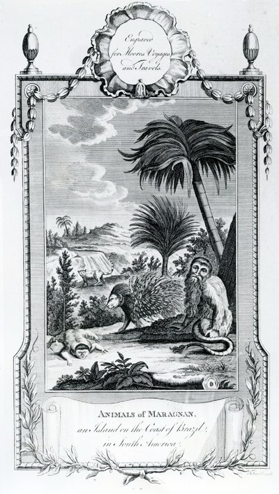 मारगानन के जानवर, मूरेस वॉयज एंड ट्रैवल्स, 1778 से लिया गया चित्रण द्वारा अंग्रेजी स्कूल