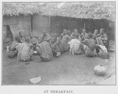 ब्रेकफास्ट में, रेव रिचर्ड एच. स्टोन द्वारा 'इन अफ़्रीक फ़ॉरेस्ट एंड जंगल: या सिक्स इयर्स अमंग द योरूबन्स' का चित्रण, c.1899 (फोटोमैकेनिकल प्रिंट) द्वारा अंग्रेजी स्कूल