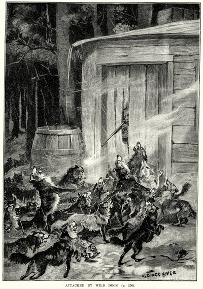  द्वारा अंग्रेजी स्कूल