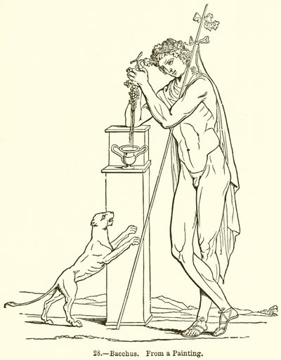 Bacchus द्वारा अंग्रेजी स्कूल