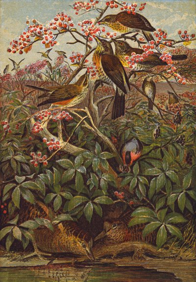  द्वारा अंग्रेजी स्कूल