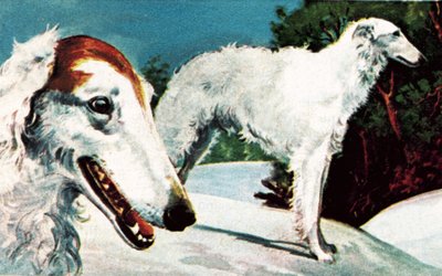 Borzoi द्वारा अंग्रेजी स्कूल