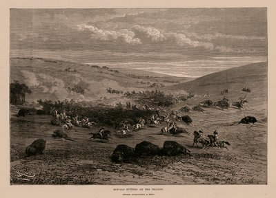  द्वारा अंग्रेजी स्कूल