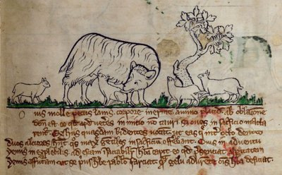 सीसीए-लिटमस - डी - 10 फॉल। 8r भेड़, Bestiary से द्वारा अंग्रेजी स्कूल