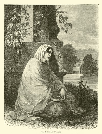 कश्मीरी विधवा द्वारा अंग्रेजी स्कूल