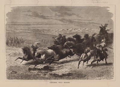  द्वारा अंग्रेजी स्कूल