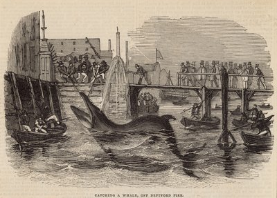 Deptford Pier से एक व्हेल को पकड़ना द्वारा अंग्रेजी स्कूल