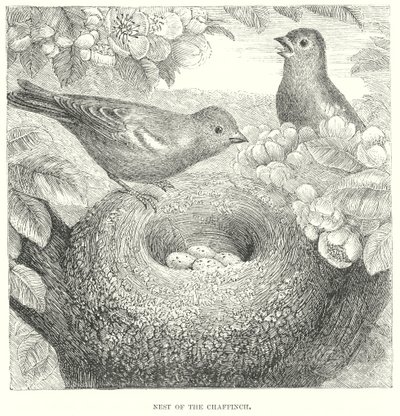  द्वारा अंग्रेजी स्कूल