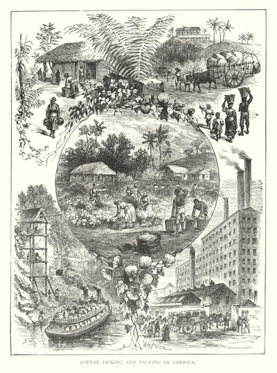  द्वारा अंग्रेजी स्कूल