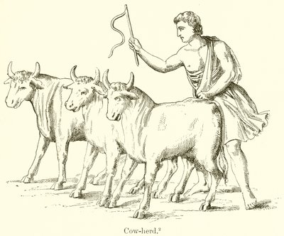 गाय-झुंड द्वारा अंग्रेजी स्कूल
