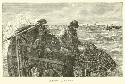 Crabbers द्वारा अंग्रेजी स्कूल