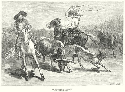  द्वारा अंग्रेजी स्कूल