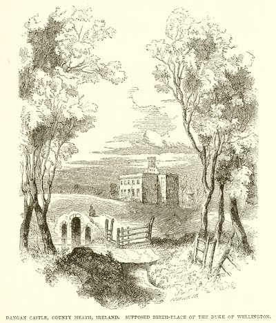 डांगन कैसल, कंट्री मैथ, आयरलैंड। द बर्थ-प्लेस ऑफ द ड्यूक ऑफ वेलिंगटन द्वारा अंग्रेजी स्कूल
