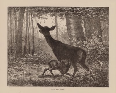  द्वारा अंग्रेजी स्कूल