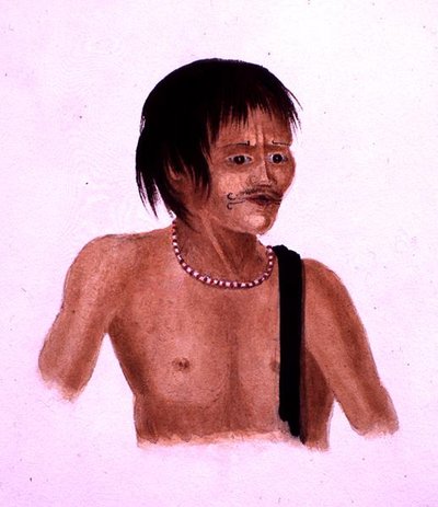 डेमेरारा (कागज पर पानी के रंग का) द्वारा अंग्रेजी स्कूल