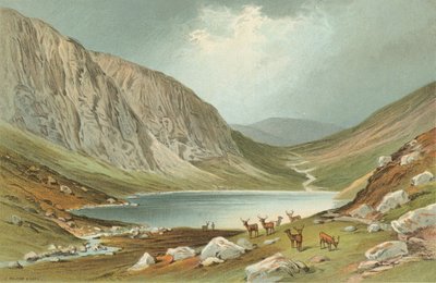 धु होल - लोच न गर द्वारा अंग्रेजी स्कूल