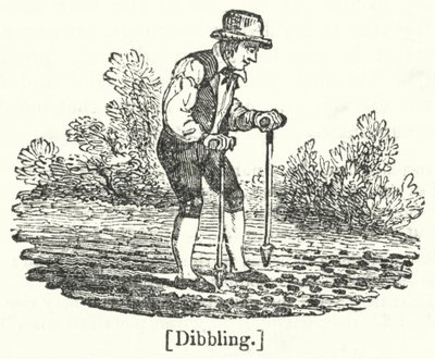 Dibbling द्वारा अंग्रेजी स्कूल
