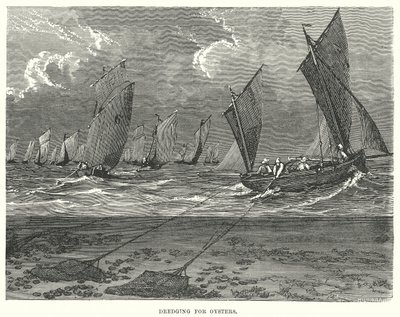  द्वारा अंग्रेजी स्कूल