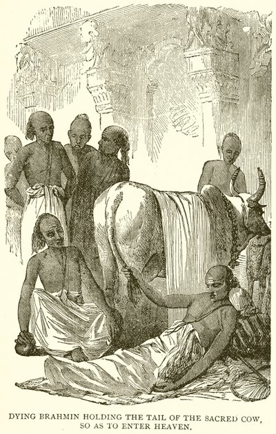 मरने वाला ब्राह्मण पवित्र गाय की पूंछ पकड़े, ताकि स्वर्ग में प्रवेश कर सके द्वारा अंग्रेजी स्कूल