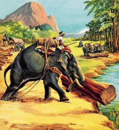 हाथी। एलियट द्वारा हाथी बिल से चित्रण। कर्नल जेएच विलियम्स द्वारा अंग्रेजी स्कूल