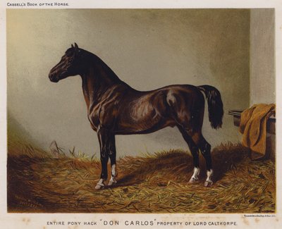 संपूर्ण टट्टू हैक "डॉन कार्लोस," लॉर्ड कैलथोरपे की संपत्ति (रंग लिथो) द्वारा अंग्रेजी स्कूल