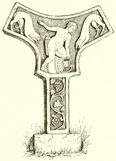 Faflon द्वारा अंग्रेजी स्कूल