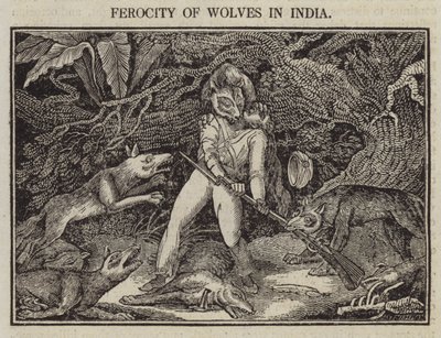 भारत में भेड़ियों की क्रूरता (उत्कीर्णन) द्वारा अंग्रेजी स्कूल