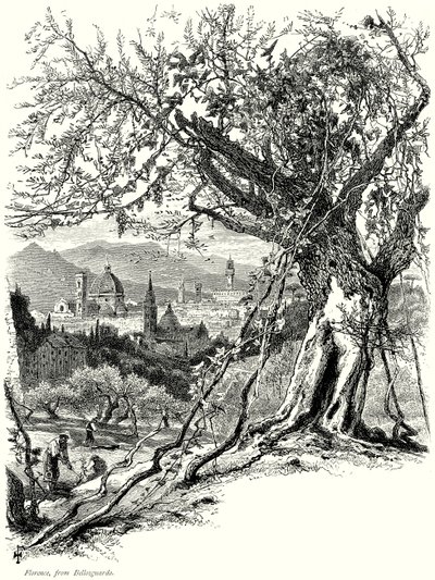  द्वारा अंग्रेजी स्कूल