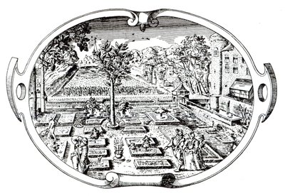 जॉन जेरार्ड (1545-1607) द्वारा द हेराल्ड, फ्रॉम शील्ड, 1597 प्रकाशित द्वारा अंग्रेजी स्कूल