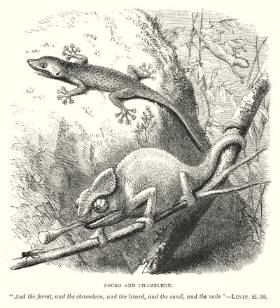  द्वारा अंग्रेजी स्कूल