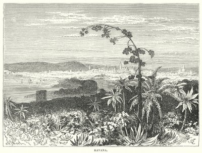  द्वारा अंग्रेजी स्कूल