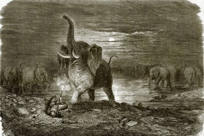 हंटर और हाथी द्वारा अंग्रेजी स्कूल