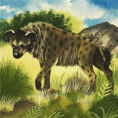 लकड़बग्धा द्वारा अंग्रेजी स्कूल