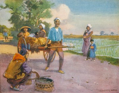  द्वारा अंग्रेजी स्कूल