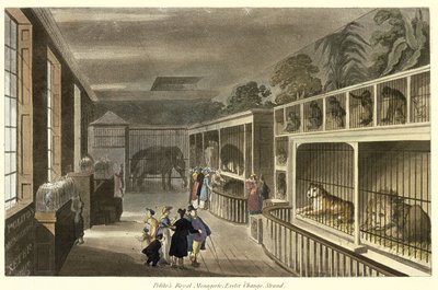 Politos Royal Menagerie, Exeter Change, Strand, 1812 (एक्वाटिंट) का आंतरिक दृश्य द्वारा अंग्रेजी स्कूल